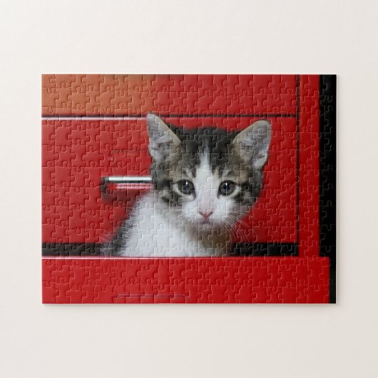 Kitten Peking Legpuzzel (Horizontaal)