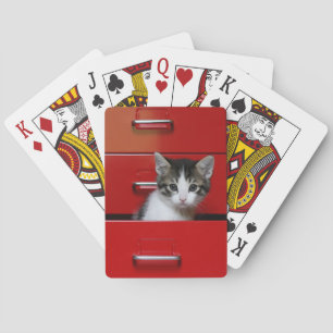 Kitten Peking Pokerkaarten