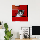 Kitten Peking Poster (Thuiskantoor)