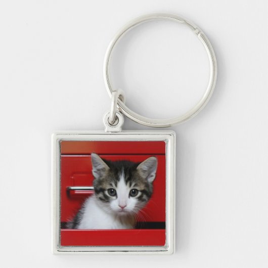 Kitten Peking Sleutelhanger (Voorkant)