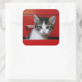 Kitten Peking Vierkante Sticker (Tas)