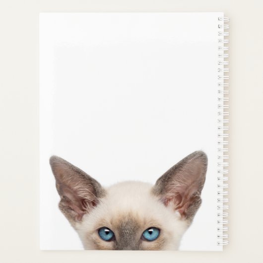 Kitten personnalisé (Dos)