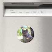 Kitten Photo Baby Chat Magnet rond (In Situ (Lave-vaisselle))