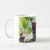 Kitten Photo Chat bébé, Blanc 325 ml Mug classique (Gauche)