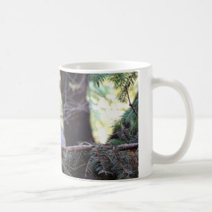 Kitten Photo Chat bébé, Blanc 325 ml Mug classique