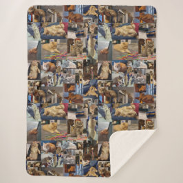 Kitten Photo Collage Sherpa Deken
