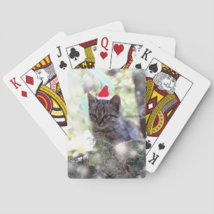 Kitten Photo Temps de Noël Cartes de Jeu Classique