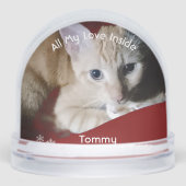 Kitten Photo Text Name,  Replace, Front And Back  (Avant)