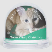 Kitten Photo Text Name,  Replace, Front And Back  (Arrière)