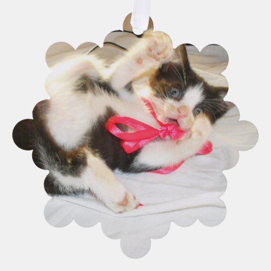 Kitten Photo Text Ornament, Snowflake, Customize, Ornament Kaart (Voorkant)