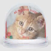 Kitten Photo Text , Replace, Front And Back  (Avant)