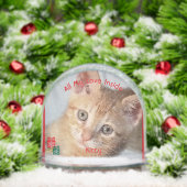 Kitten Photo Text , Replace, Front And Back  (Noël)
