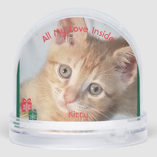 Kitten Photo Text , Replace, Front And Back (Arrière)
