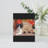 Kitten Pillow Briefkaart (Staand voorkant)