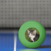 Kitten Pingpongballen (Net)