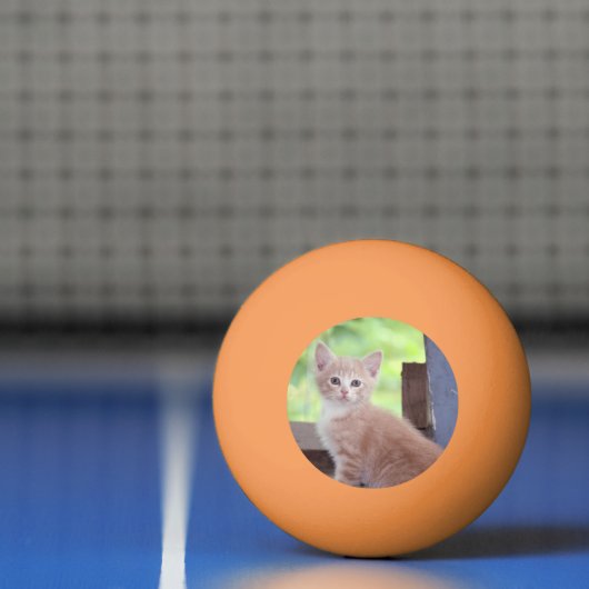 Kitten Pingpongballen (Net)