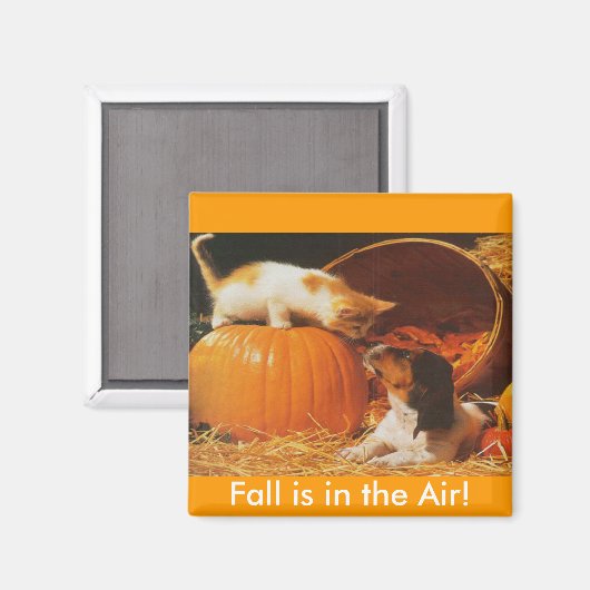 Kitten, pompoen en puppy magneet (Voorkant / Achterkant)