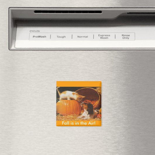 Kitten, pompoen en puppy magneet (Insitu (Vaatwasser))