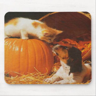 Kitten, Pompoen en Puppy Mousepad Muismat