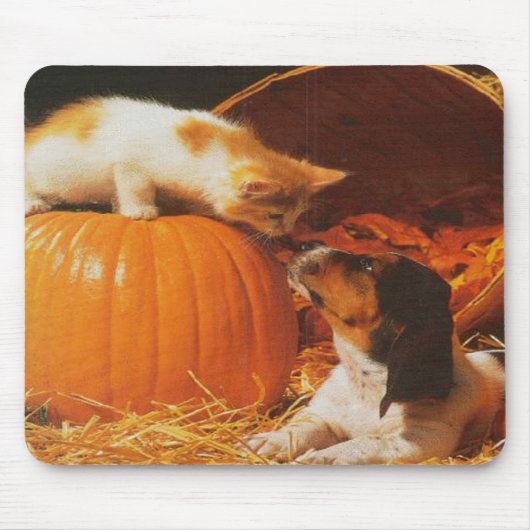 Kitten, Pompoen en Puppy Mousepad Muismat (Voorkant)