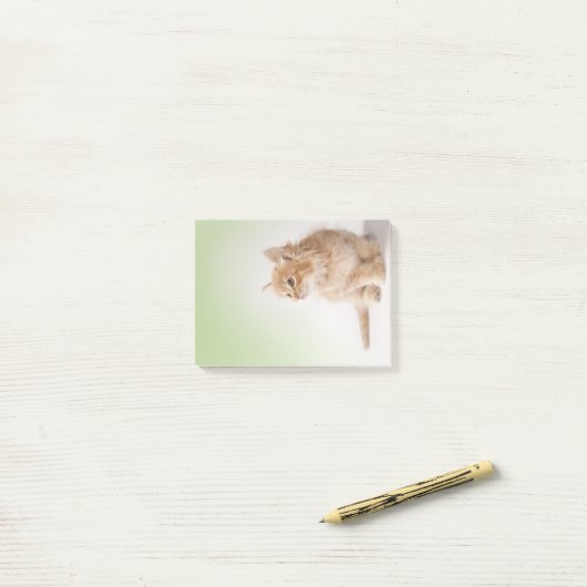 Kitten Post-it Note (Op bureau)