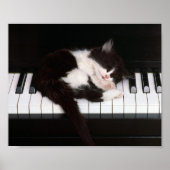 Kitten Poster (Devant)