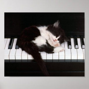Kitten Poster