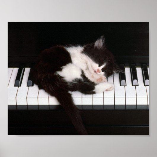 Kitten Poster (Devant)