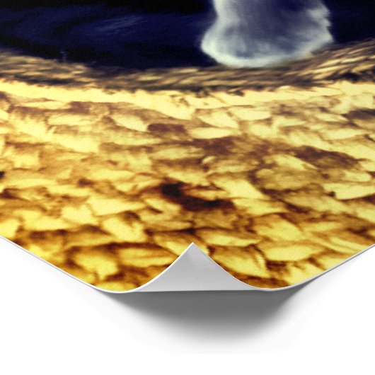 Kitten  poster (Hoek)