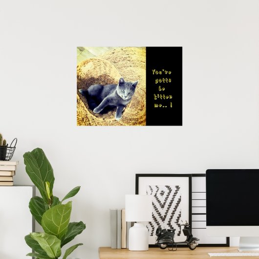 Kitten  poster (Thuiskantoor)