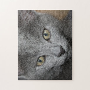 kitten puzzel