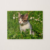 Kitten Puzzel Legpuzzel (Horizontaal)