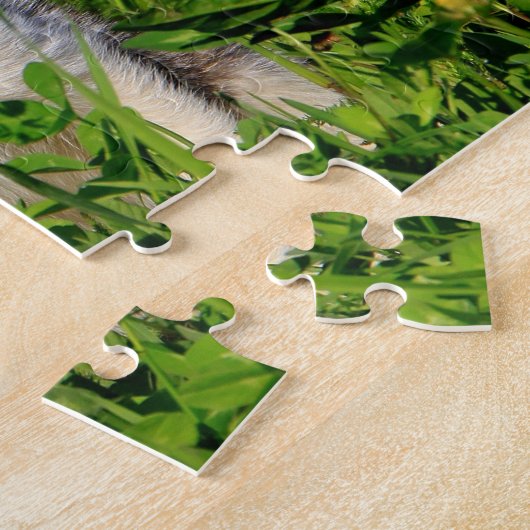 Kitten Puzzel Legpuzzel (Zijkant)