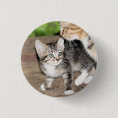 Kitten Ronde Button 3,2 Cm (Voorkant)