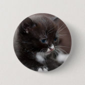 Kitten Ronde Button 5,7 Cm (Voorkant)