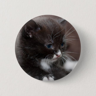 Kitten Ronde Button 5,7 Cm