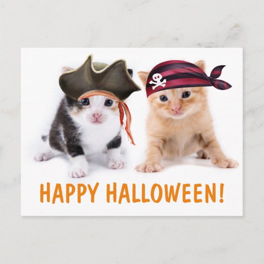 Kitten Sisters piraten Halloween Briefkaart (Voorkant)