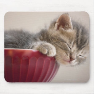 Kitten Slapen in Bowl Muismat