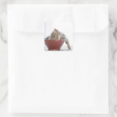 Kitten Slapen in Bowl Vierkante Sticker (Tas)