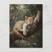 Kitten slapen in een boom  briefkaart (Voorkant)