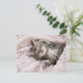 Kitten Sleeping op handdoek Briefkaart (Staand voorkant)