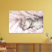 Kitten Sleeping op handdoek Canvas Afdruk (Insitu (Woonkamer))