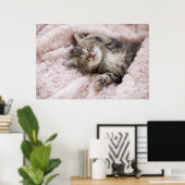 Kitten Sleeping op handdoek Poster (Thuiskantoor)