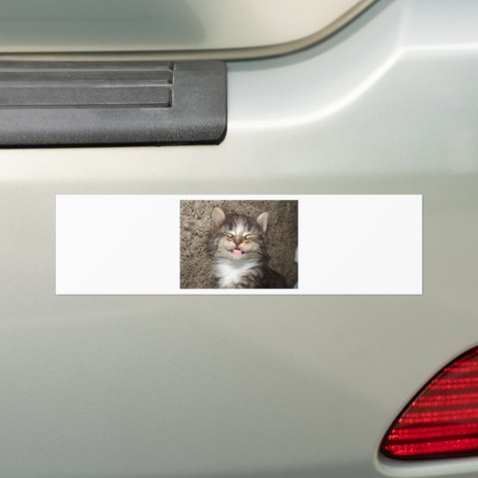 Kitten Smile Bumpersticker (Op auto)