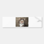 Kitten Smile Bumpersticker (Voorkant)