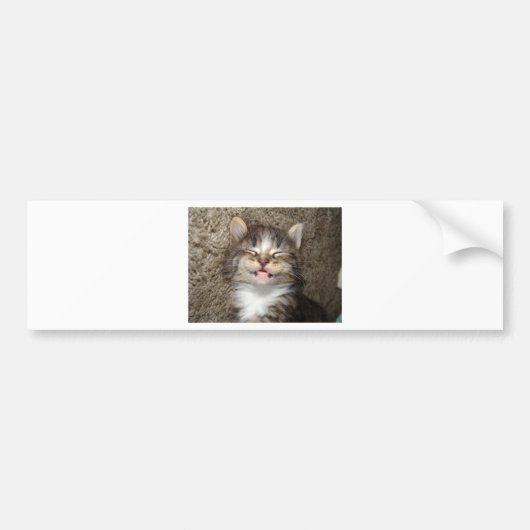 Kitten Smile Bumpersticker (Voorkant)