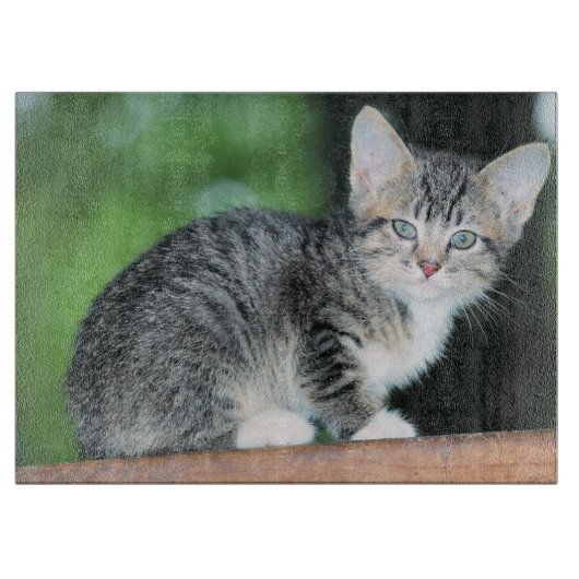 Kitten Snijplank (Voorkant)