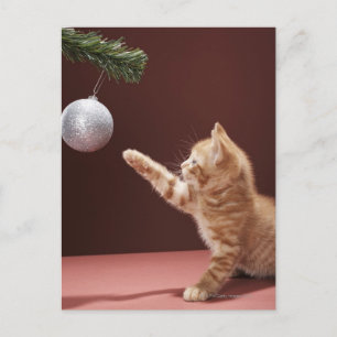 Kitten Spelen met Ornament Briefkaart