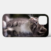 Kitten Standing Tall Case-Mate iPhone Case (Achterkant (horizontaal))