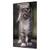 Kitten Standing Tall Klembord (Links)